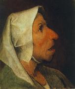 BRUEGEL, Pieter the Elder Portrait of an Old Woman  gfhgf oil